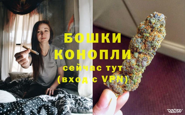 Альфа ПВП Приозерск
