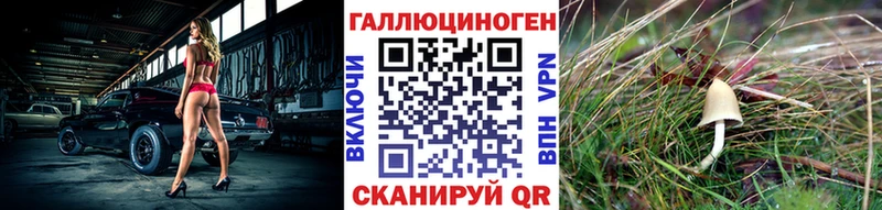 Псилоцибиновые грибы мицелий  наркота  МЕГА вход  Куровское 