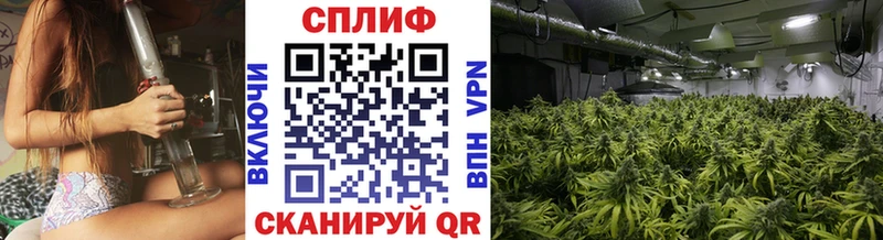Шишки марихуана VHQ Куровское